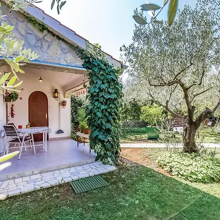 1 Bedroom In شقة Brzac
